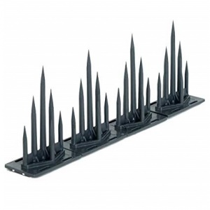 Image of Anti Bird Spikes