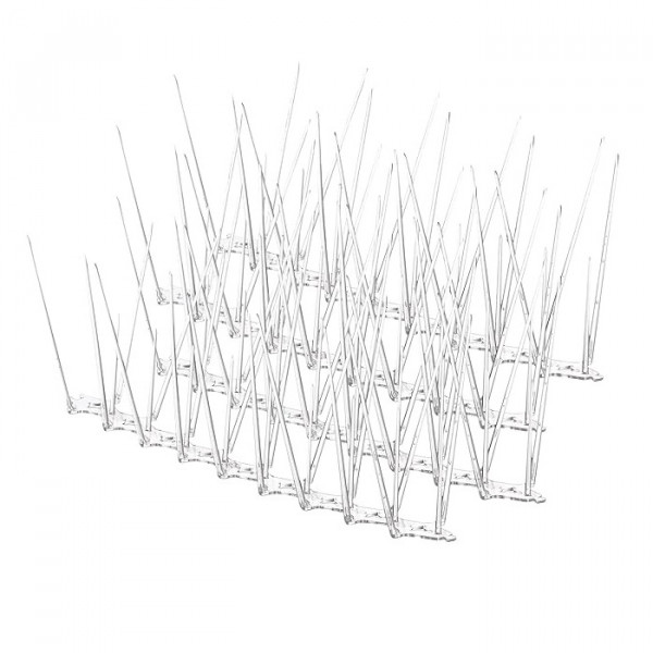 Image of Transparent Bird Spikes (Length: 1 Feet)