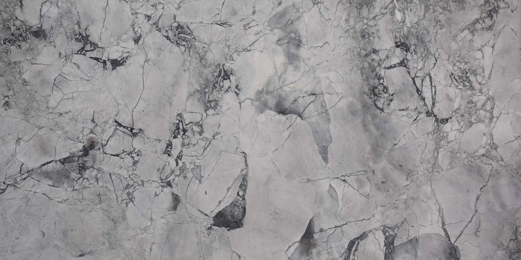 White Fantasy Exotic