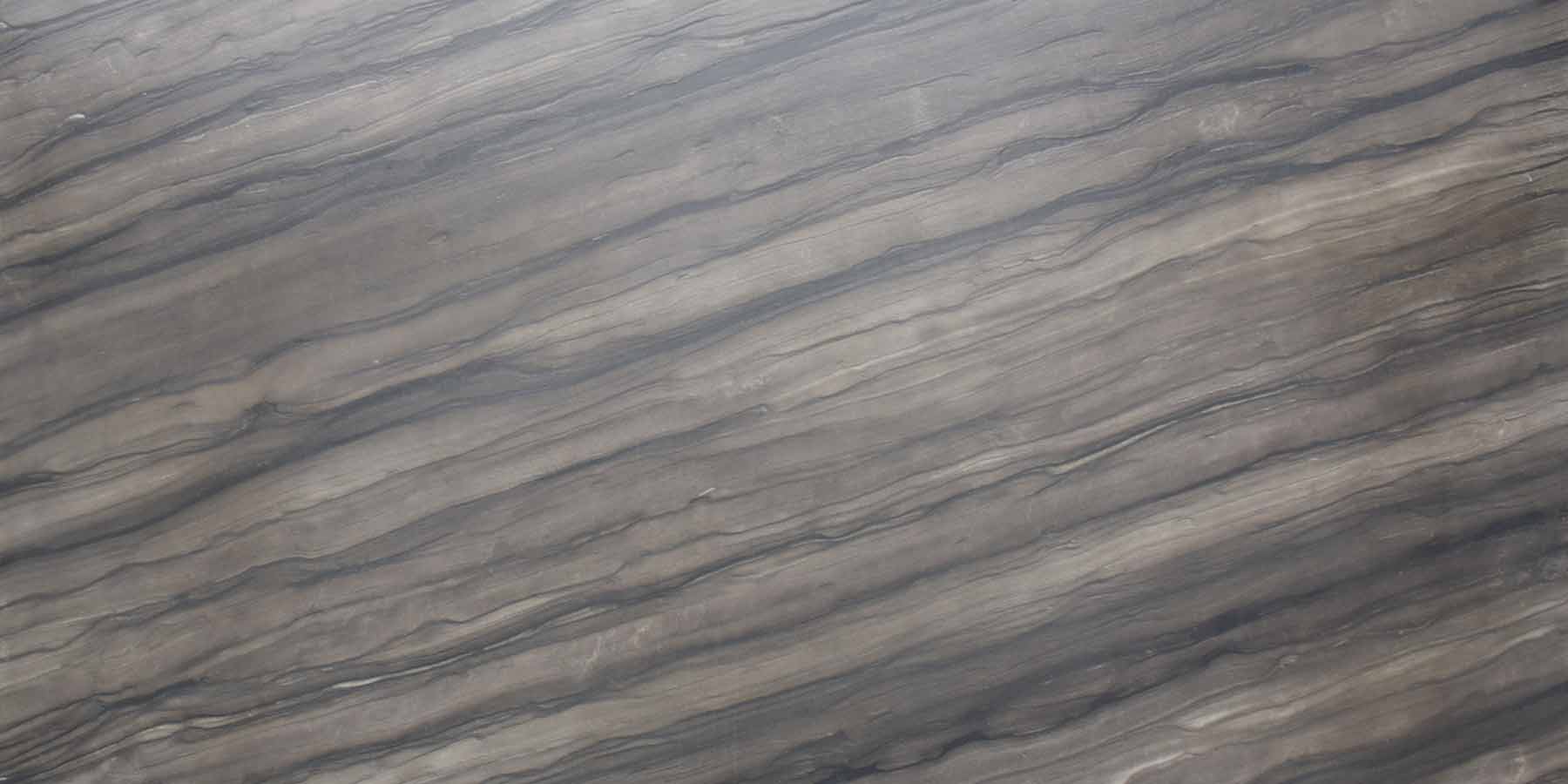 Sequoia