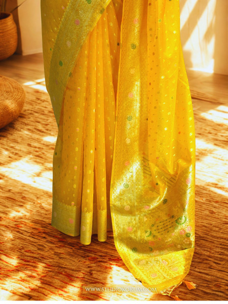 Myra - Golden Colour Organza Banarasi Saree