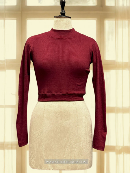Image of Maroon Full Sleeves Blouse