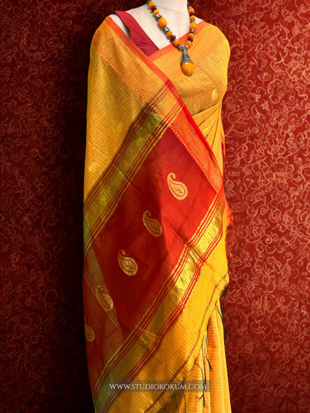 Aatika- Pure Cotton Saree in yellow with Exclusive Zari Border & Pallu