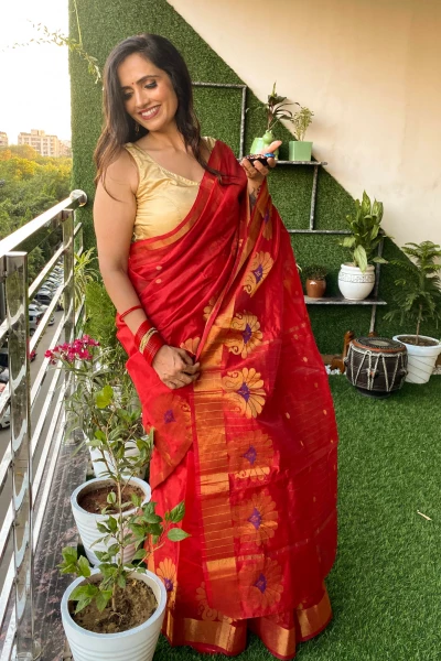 Banwra Mann - Red Organza Zari Jamdani Saree