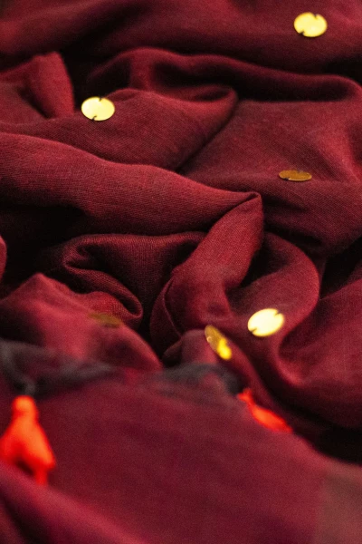 kala Khatta - Big Sitara Work Plain Maroon Saree