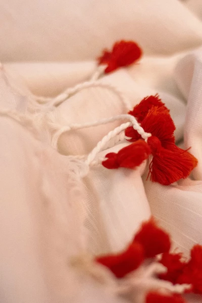 Shiuli – Handloom Cotton White Red Saree