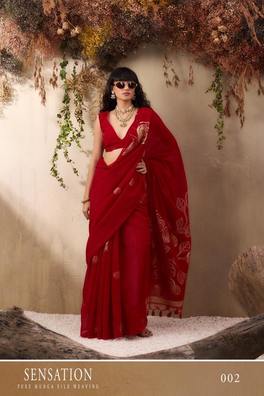 Red Pure Munga Silk Handloom Weaved Borderless Saree