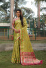 Mehendi Green Premium Organza Silk Ikkat Patola Weaved Saree
