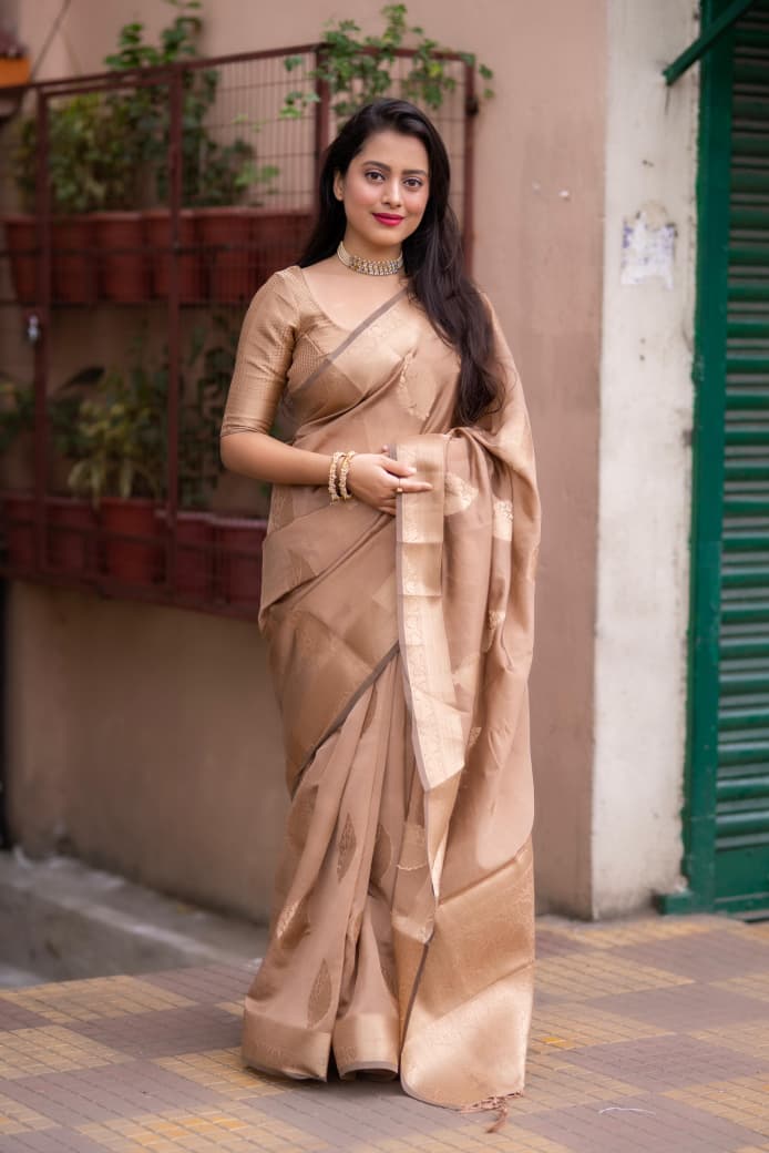 Beige Organza Silk Zari Weaved Rich Pallu Saree