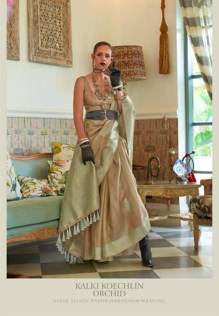 Pure Banarasi Satin Tissue Nylon Handloom Weaved Sarees