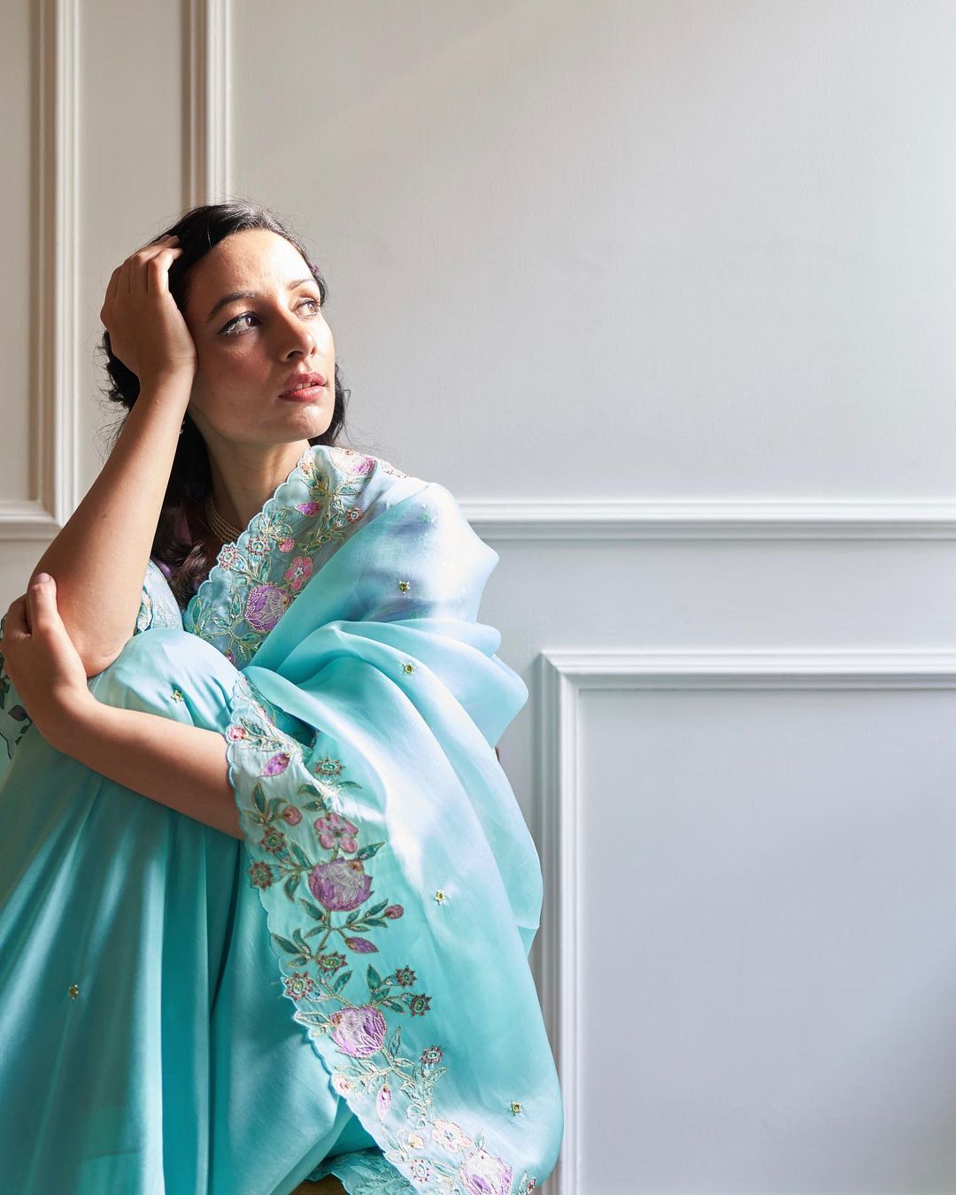 Pure Organza Silk Plain With Beautiful Embroidery Border Saree