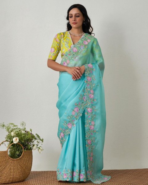 Image of Pure Organza Silk Plain With Beautiful Embroidery Border Saree