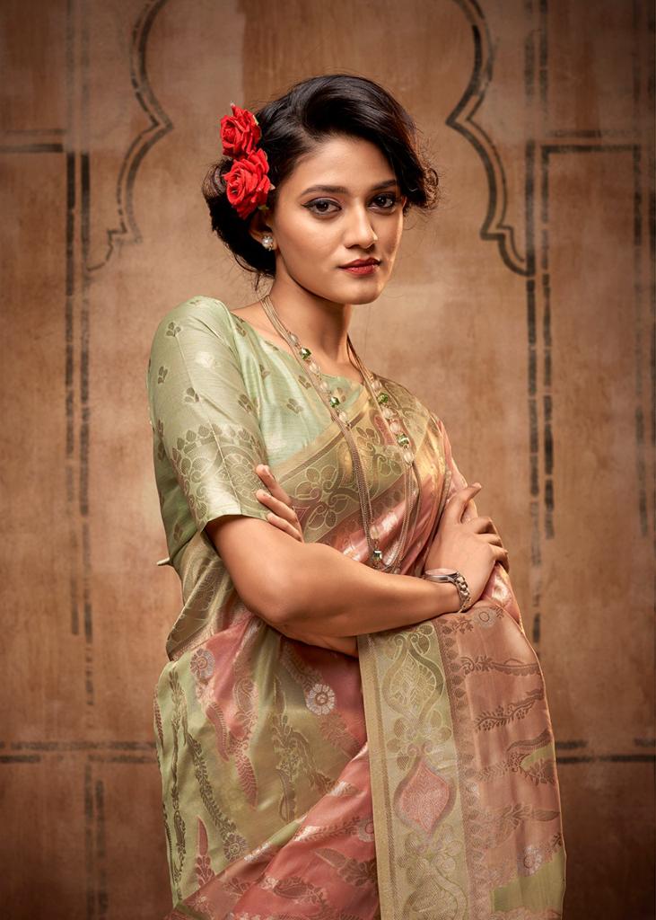 Pure Organza Silk Rainbow Multi Color Zari Weaved Saree