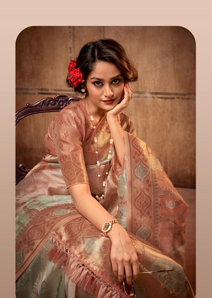 Pure Organza Silk Rainbow Multi Color Zari Weaved Saree