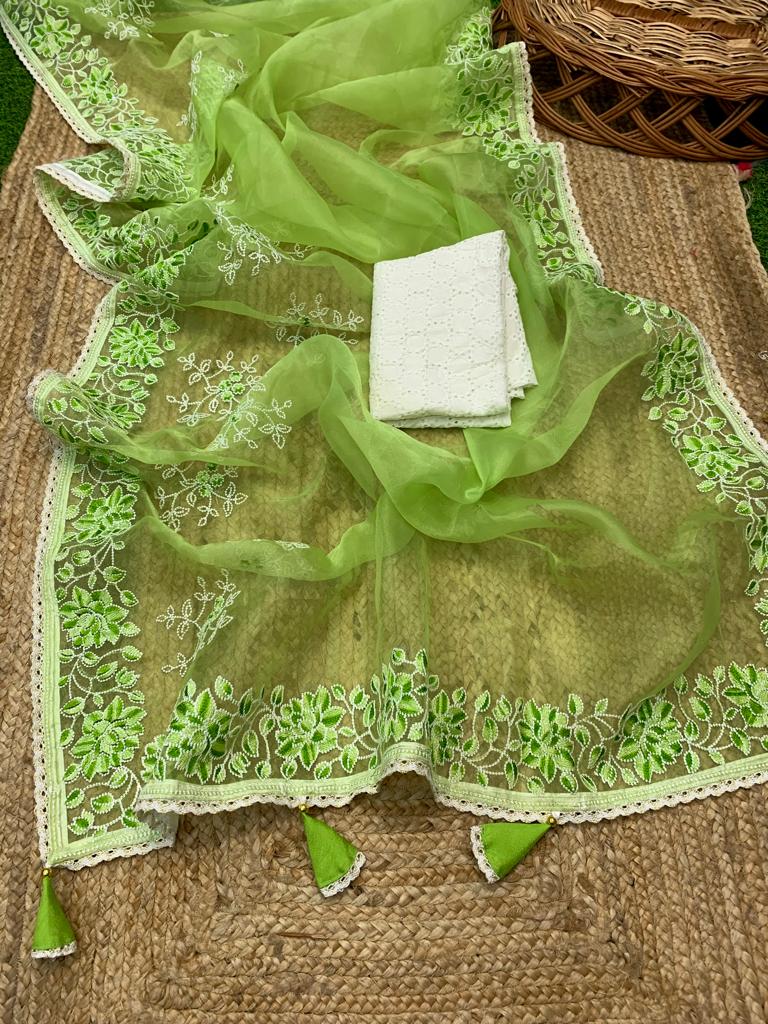 Pure Organza Silk Lucknavi Embroidery Work Saree