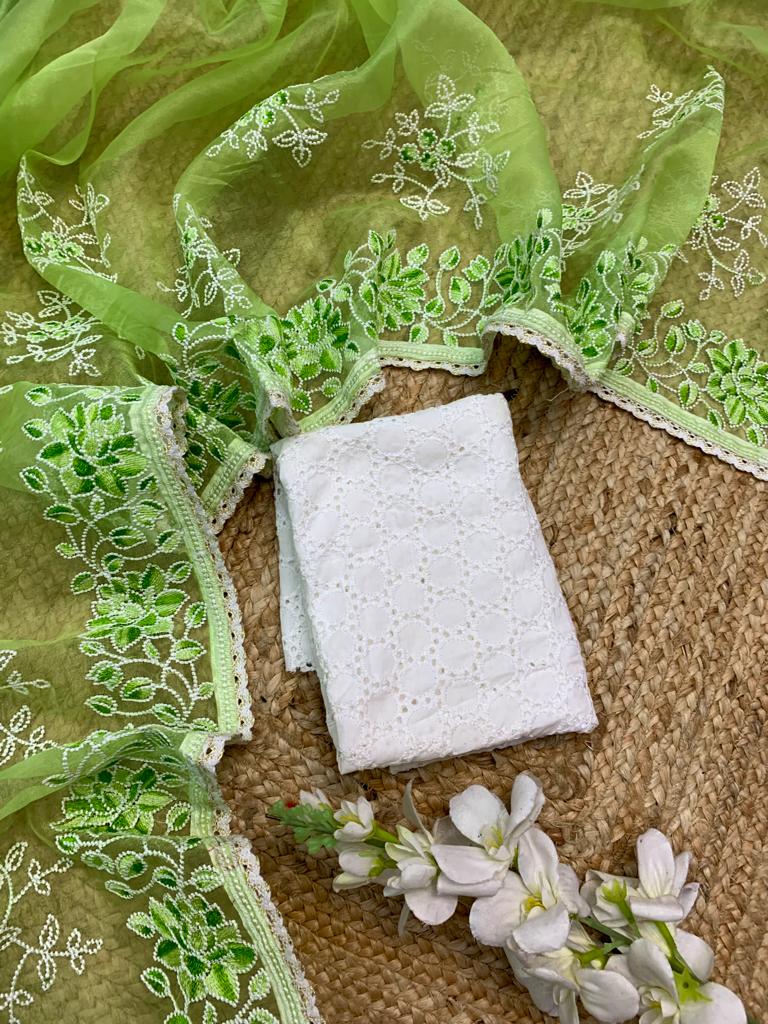 Pure Organza Silk Lucknavi Embroidery Work Saree