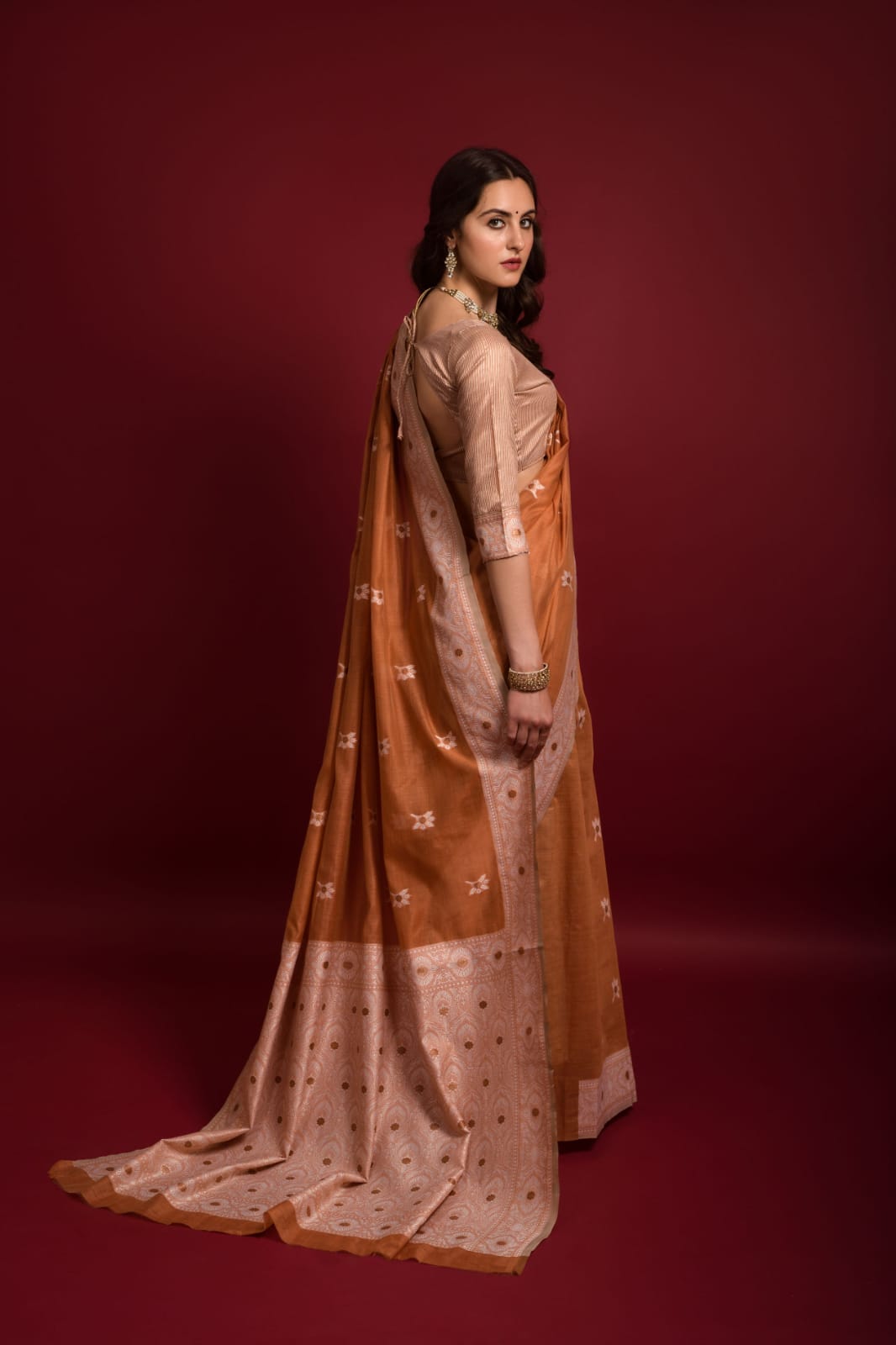 Pure Lucknawi Chikankari Weaved Saree