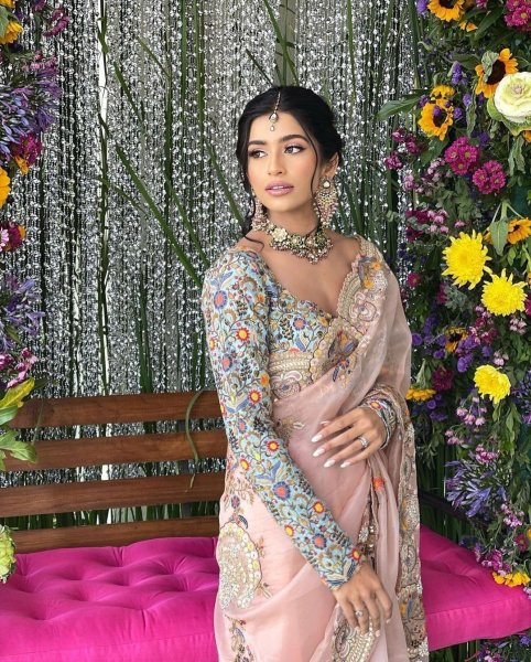 Image of Organza Silk Multi Thread Embroidered Cutwork Saree