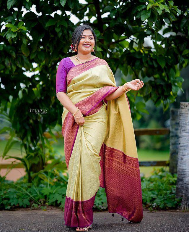 Banarasi Silk All Over Rich Zari Weaved Pallu Border Saree