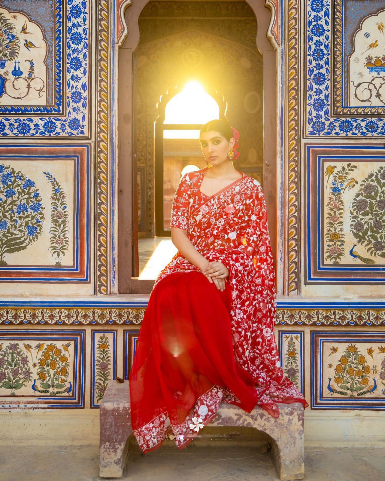 Red Pure Organza Silk All Over Lucknawi Embroidery Work Saree