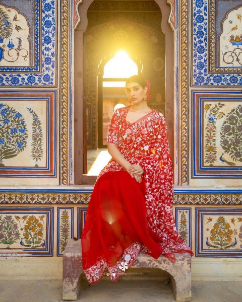 Image of Red Pure Organza Silk All Over Lucknawi Embroidery Work Saree
