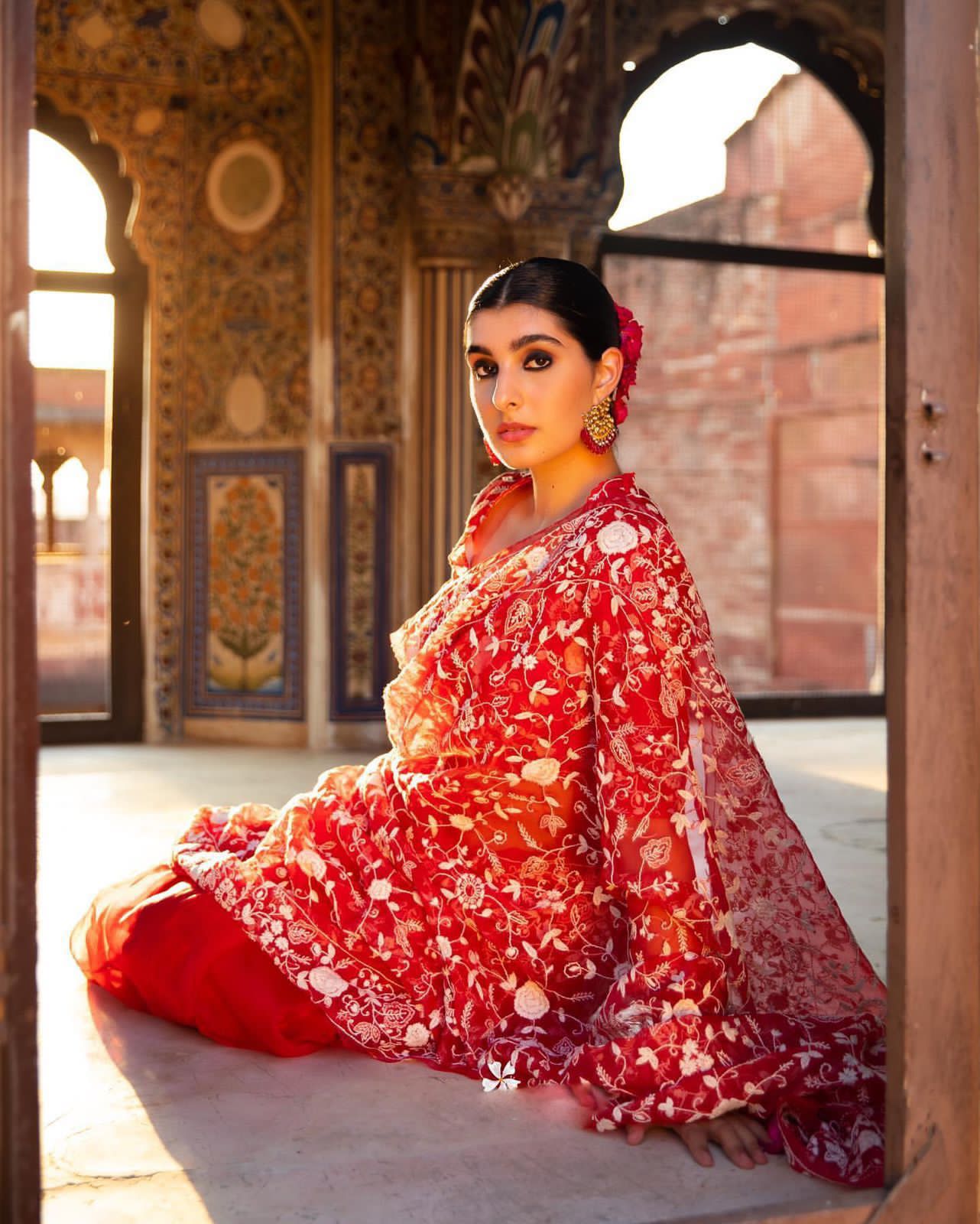 Red Pure Organza Silk All Over Lucknawi Embroidery Work Saree