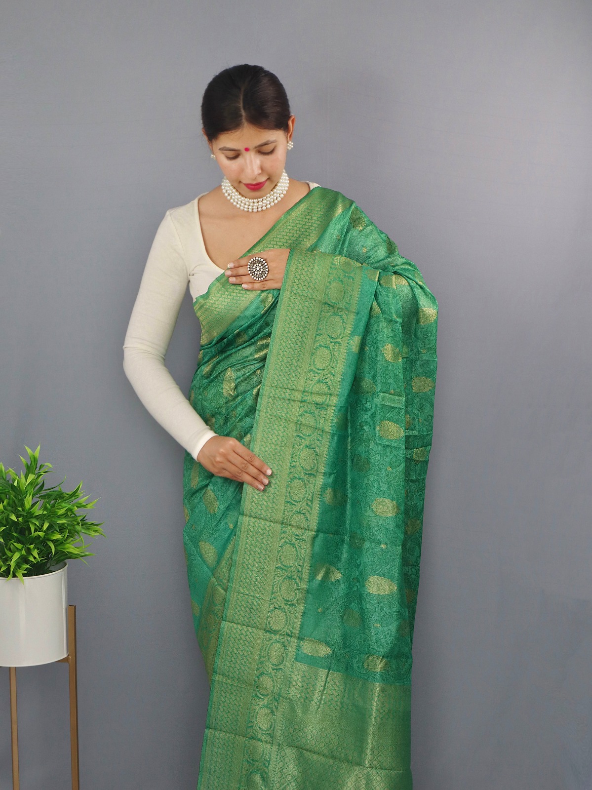 Pure Chanderi Silk Shaded Saree With Wide Zari Brocade