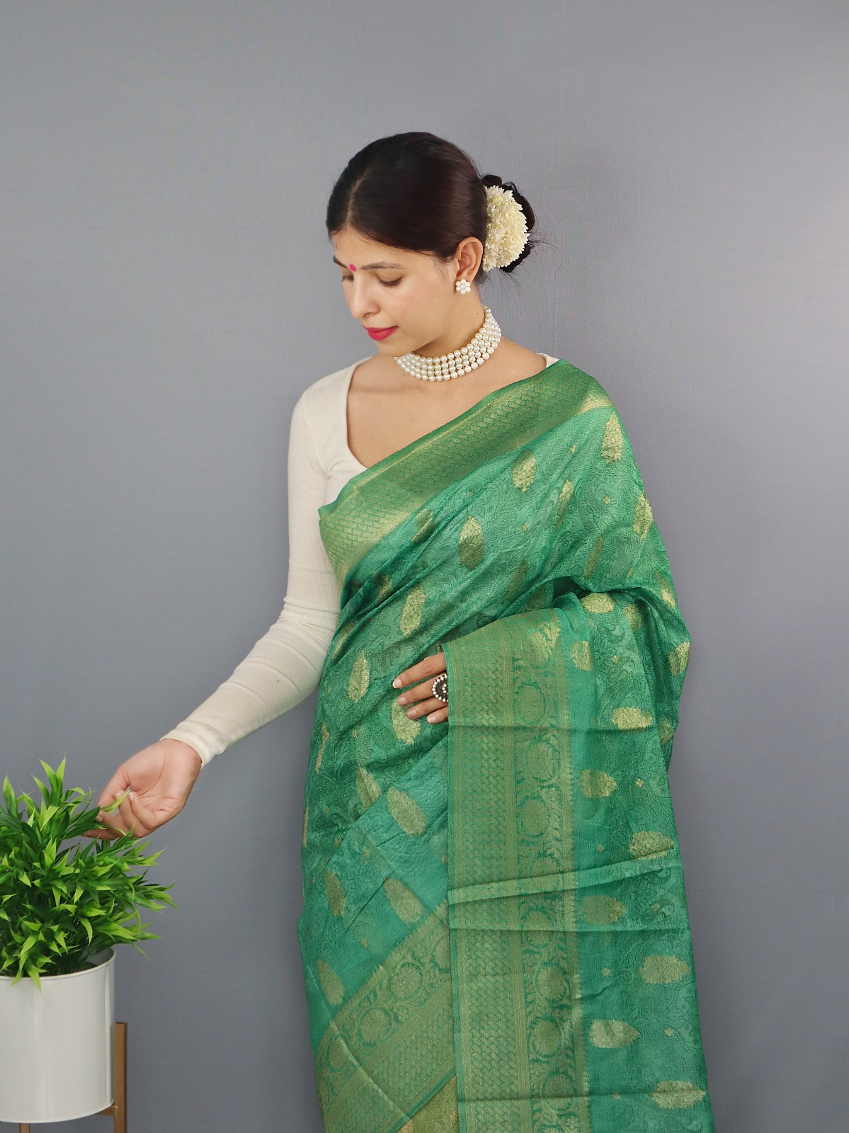 Pure Chanderi Silk Shaded Saree With Wide Zari Brocade