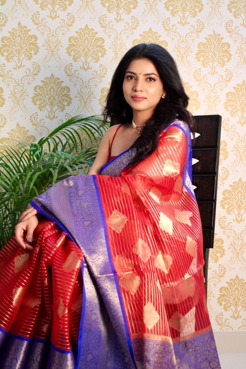 Pure Banarasi Organza Silk Silver Zari Lining And Boota Saree