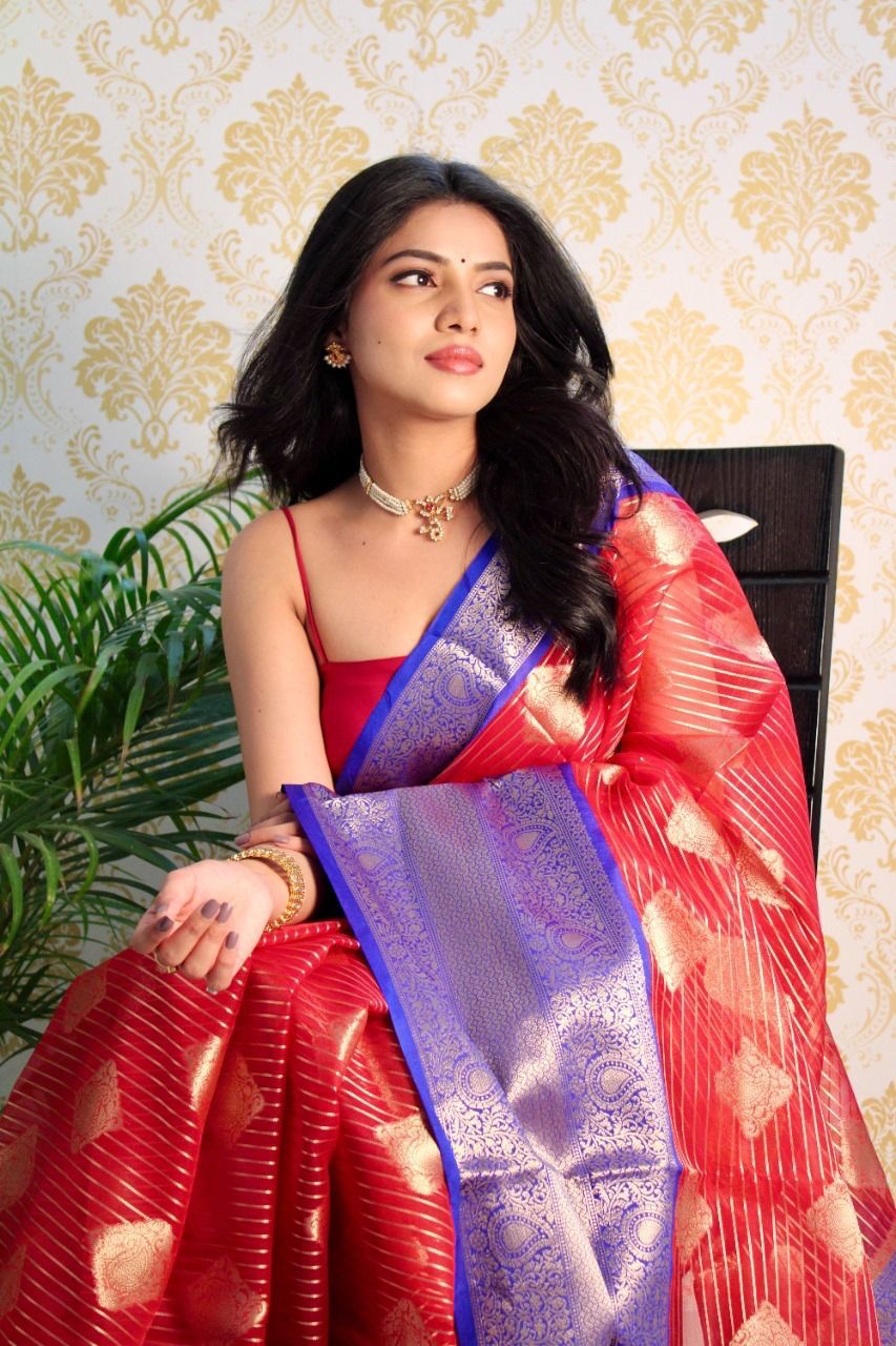 Pure Banarasi Organza Silk Silver Zari Lining And Boota Saree