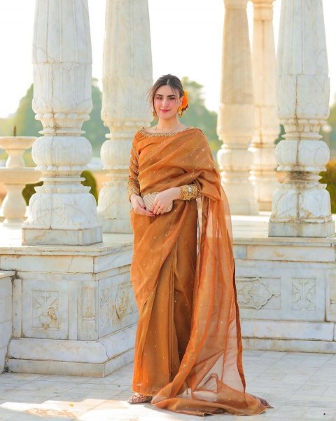 Image of Soft Khadi Organza Embroidery Sequence Work Saree