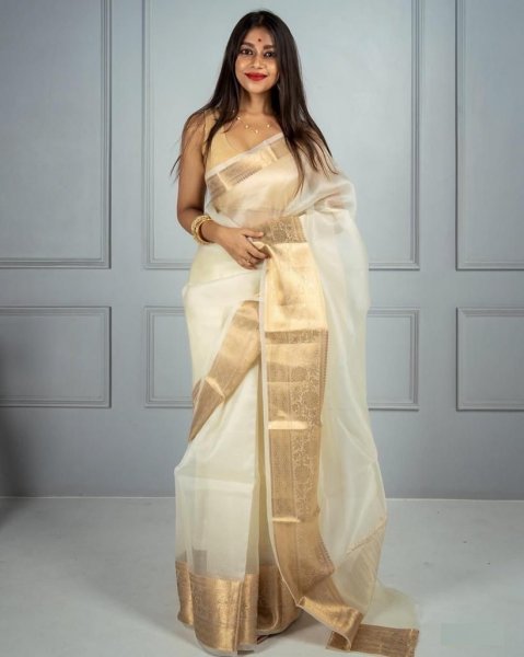Image of Organza Silk Plain Saree With Gold Zari Border