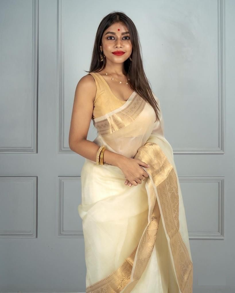 Organza Silk Plain Saree With Gold Zari Border