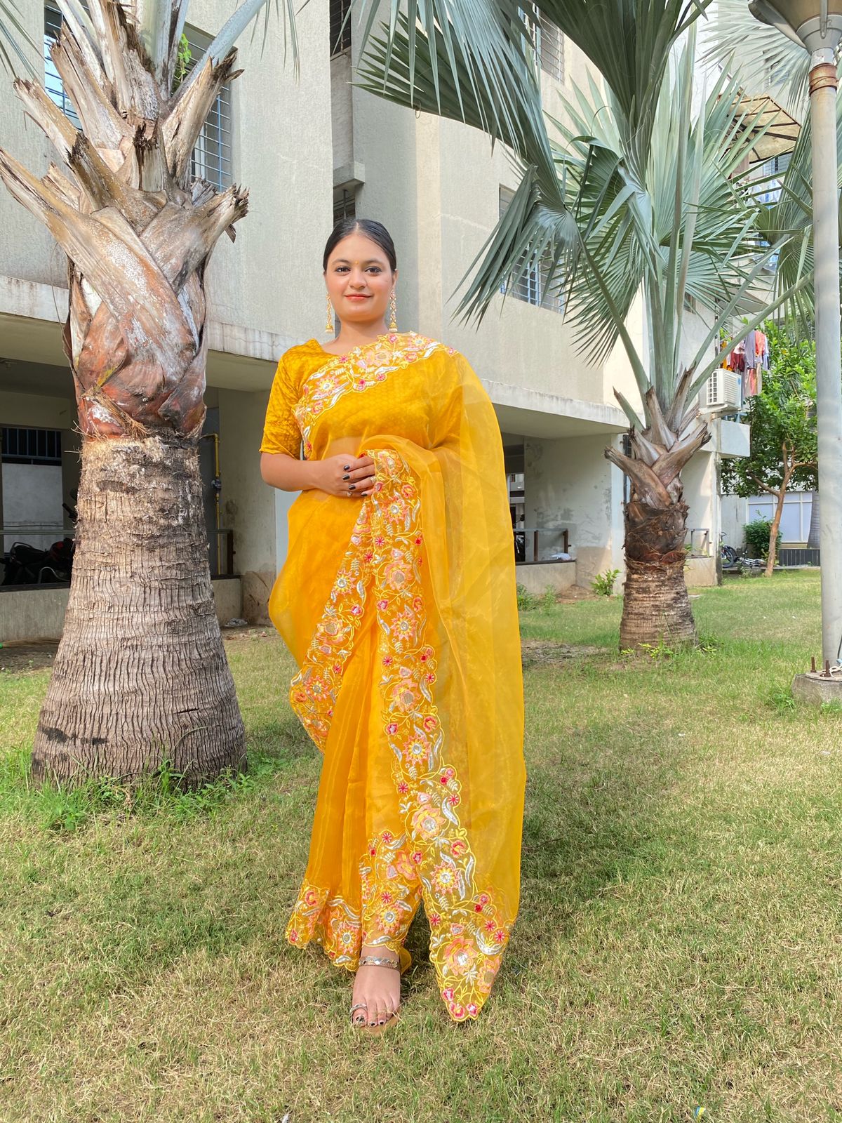 Pure Organza Silk Multi Thread Embroidery Sequence Work Saree