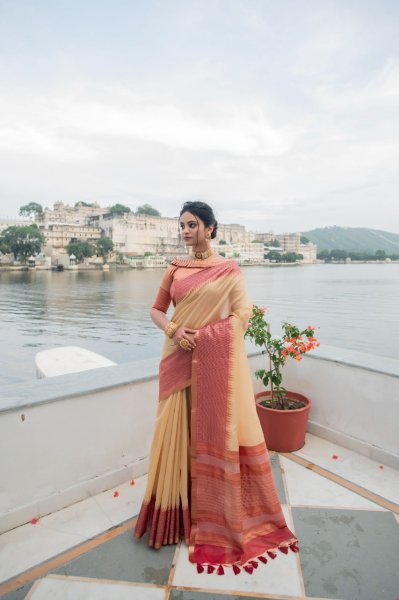 Image of Cream Tissue Silk Saree With Rich Zari Pallu And Border