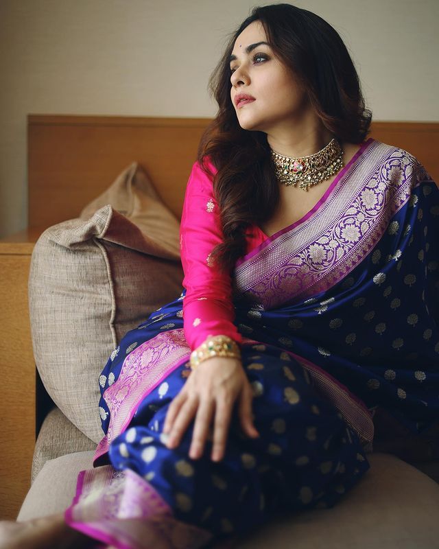 Navy Blue Banarasi Silk Saree Silver Zari Weaved With Rich Pallu