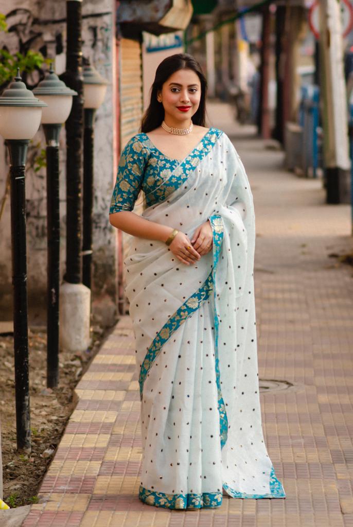 Pure Linen All Over Sequence Embroidery Booti Saree