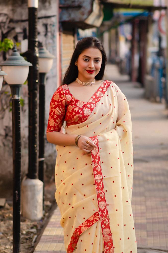 Pure Linen All Over Sequence Embroidery Booti Saree