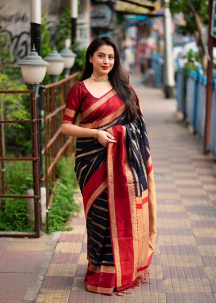 Image of banarasi silk all over zari strip weaved with rich zari pallu saree