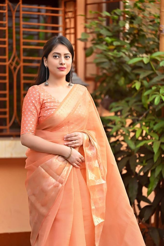 Organza Silk Multi Color Zari Woven Border Saree