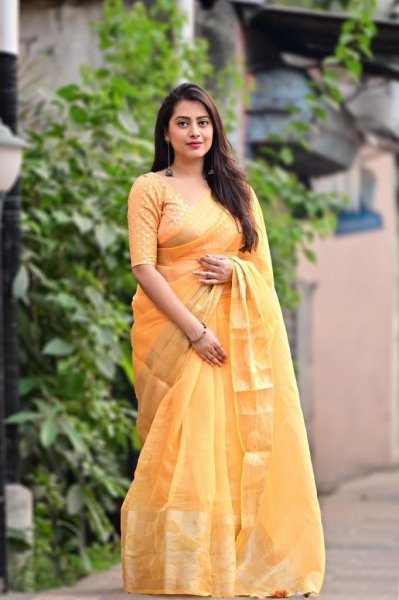 Image of Organza Silk Multi Color Zari Woven Border Saree