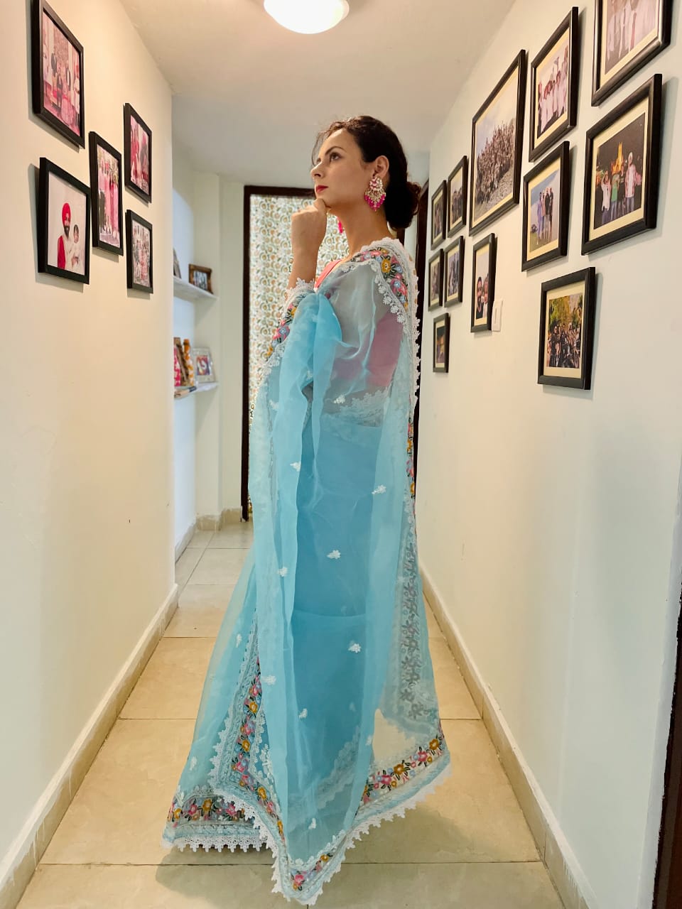 Pure Organza Silk With Multi Color Embroidery Sequence Work Lace Border Saree