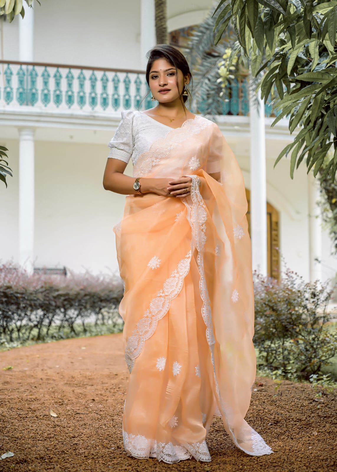 Pure Organza Silk Thread Work Body Border Saree