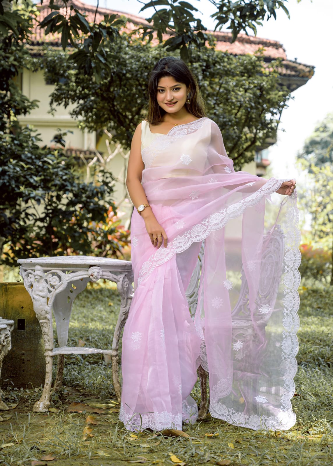 Pure Organza Silk Thread Work Body Border Saree