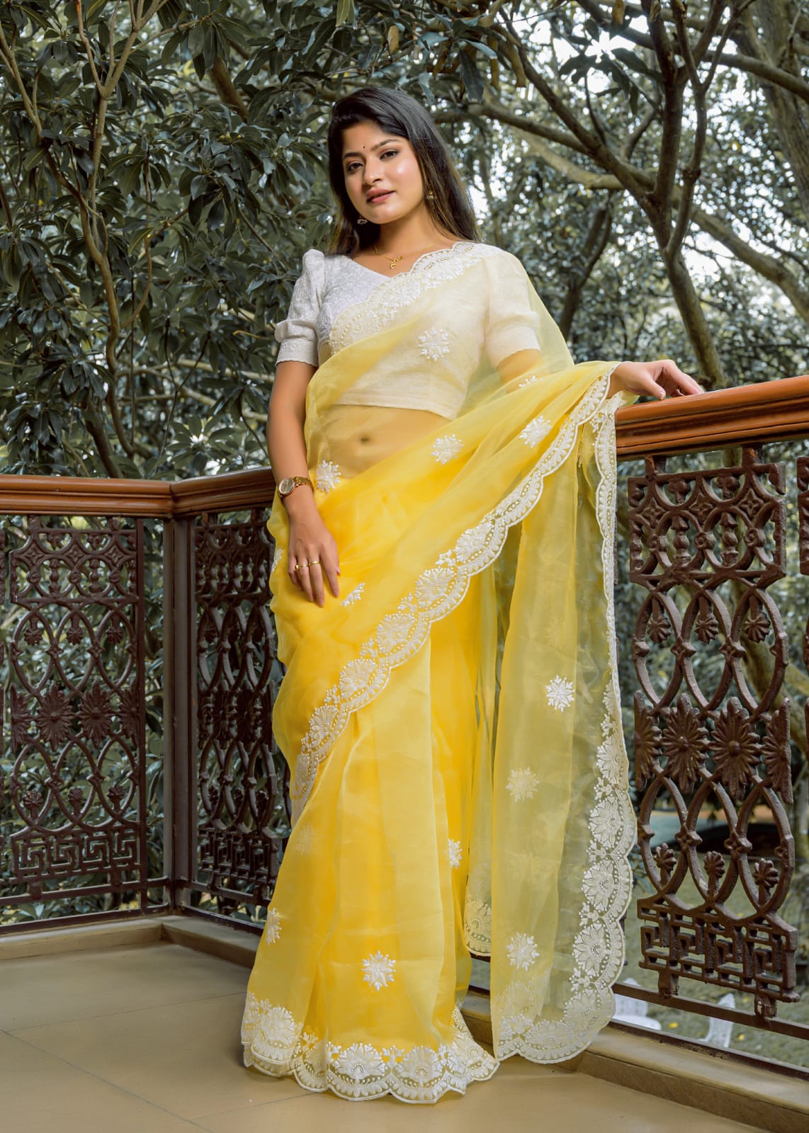 Pure Organza Silk Thread Work Body Border Saree