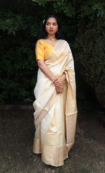 Image of Handloom Silk Zari Weaved Rich Pallu And Border Saree With Blouse Piece