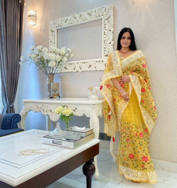 Image of Pure Organza Silk Multi Color Thread Embroidery With Lace Border Saree