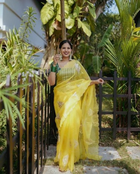 Image of Pure Organza Silk Multi Sequence Cut Work Saree With Embroidery Blouse