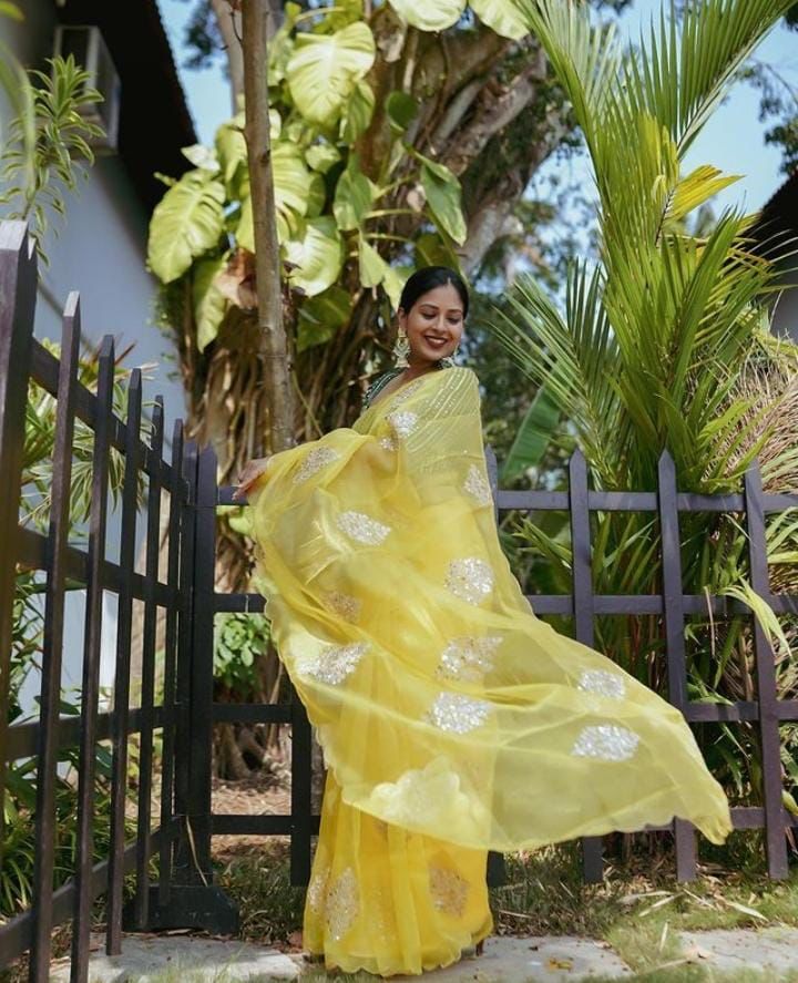 Pure Organza Silk Multi Sequence Cut Work Saree With Embroidery Blouse