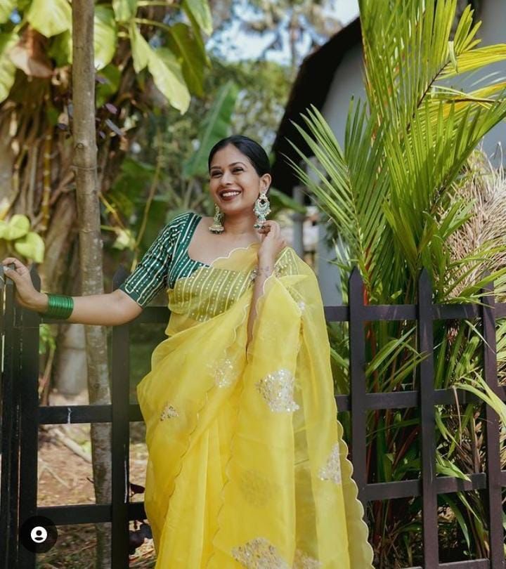 Pure Organza Silk Multi Sequence Cut Work Saree With Embroidery Blouse